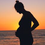 TBE vaccin gravid